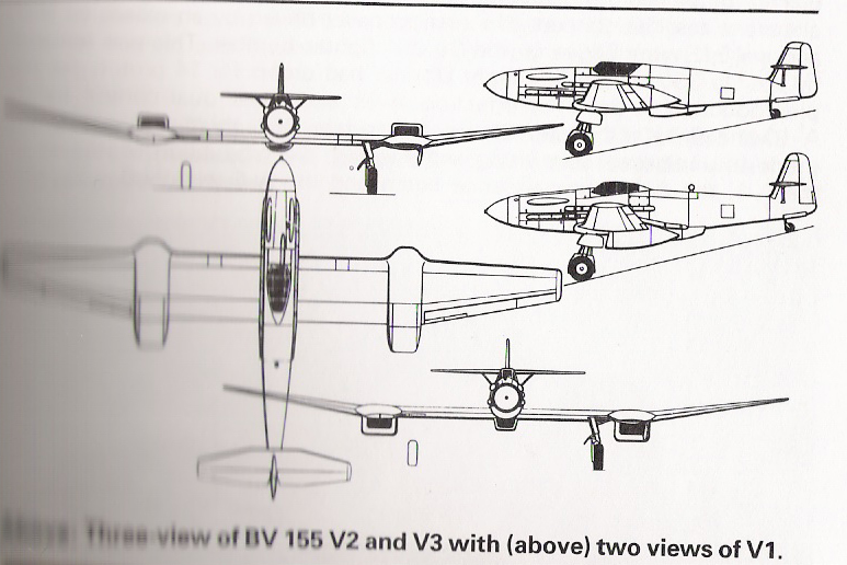 bv1552.jpg